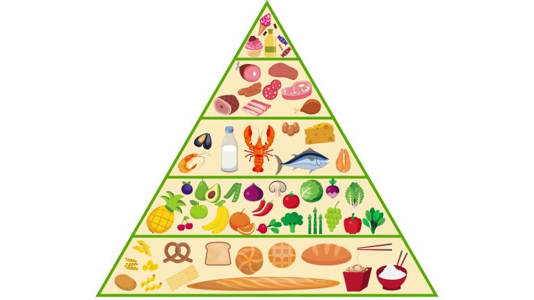 in-detail-the-new-food-pyramid-e-who-know